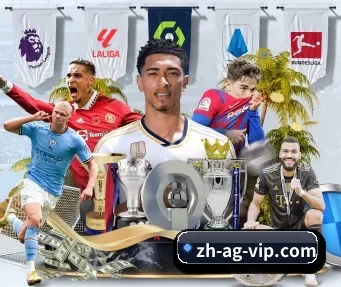 zh-ag-vip.com APP